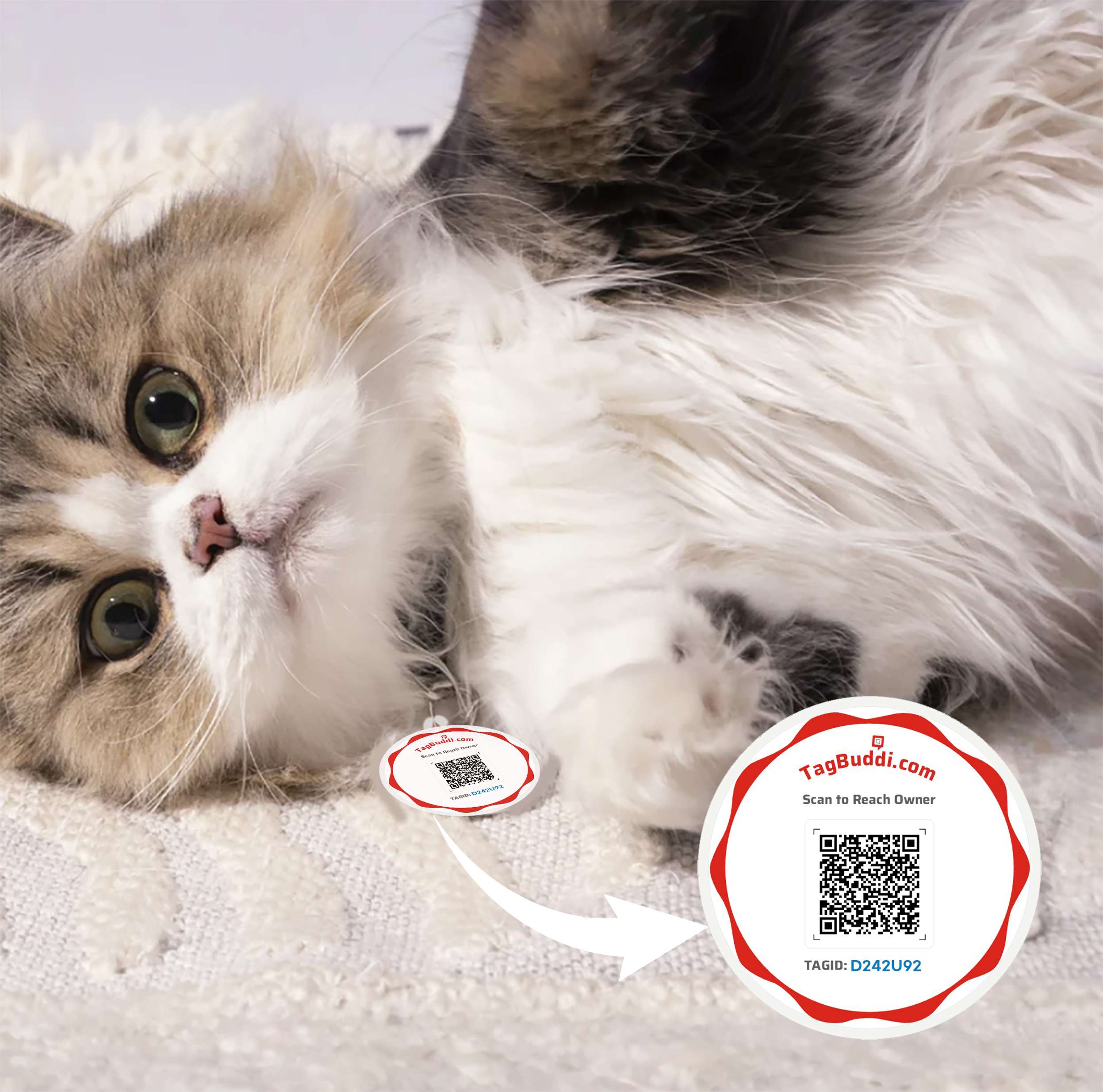 Product_Red Round 1.jpg