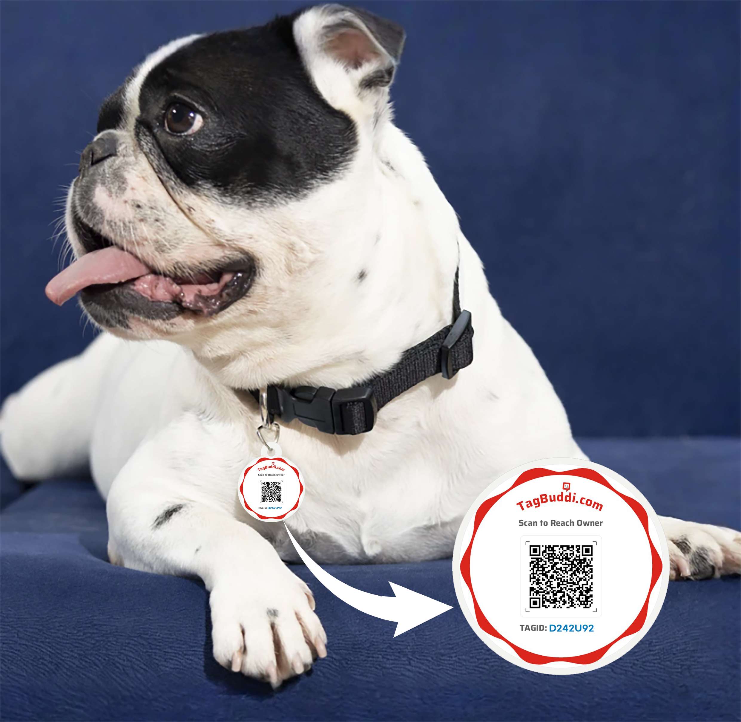 Product_Red Round 2.jpg